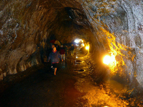 Passengers from MS Zaandam walk through the Thurston Lava Tube